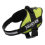 JK9 - IDC® POWER POSTROJ | NEÓNOVO ZELENÝ | - Veľkosť: Mini (S)
