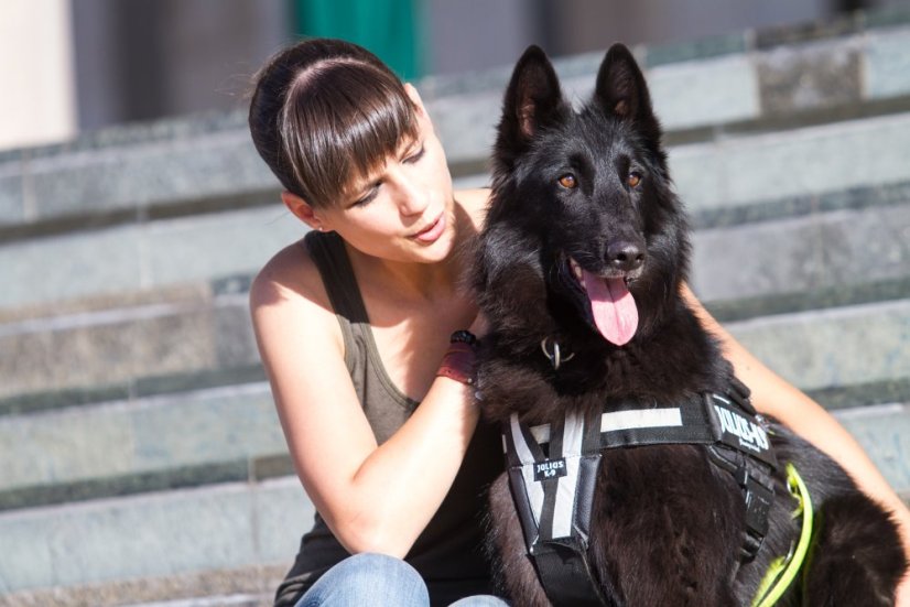 JK9 - ROZDELOVAČ TLAKU V TVARE "Y"