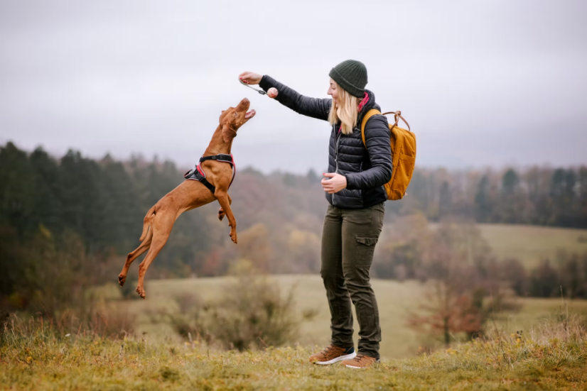 IDC® VÝCVIKOVÁ LOPTA S LANKOM